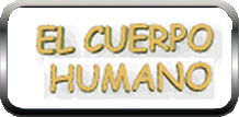 el cuerpo humano