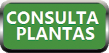 CONSULTA PLANTAS