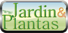 JARD&Iacute;N Y PLANTAS